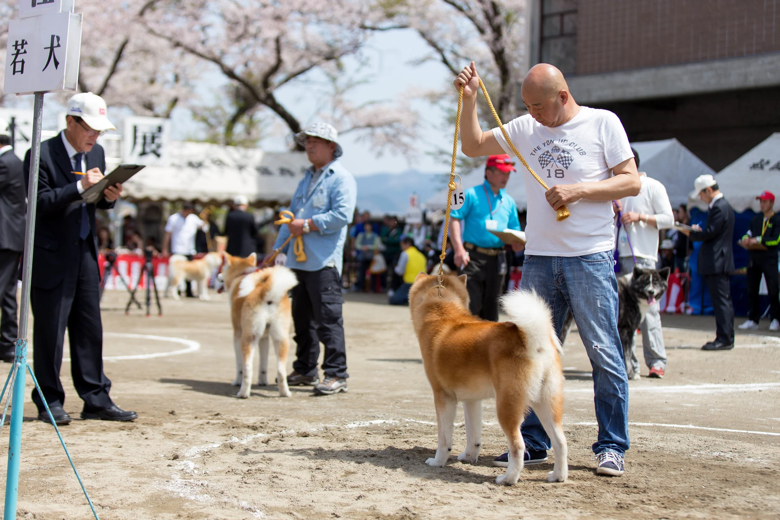 Akita hotsell inu hozonkai